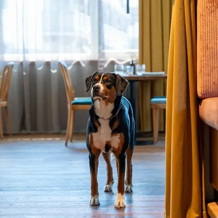 Boutiquehotel Zomm In Seefeld 4*