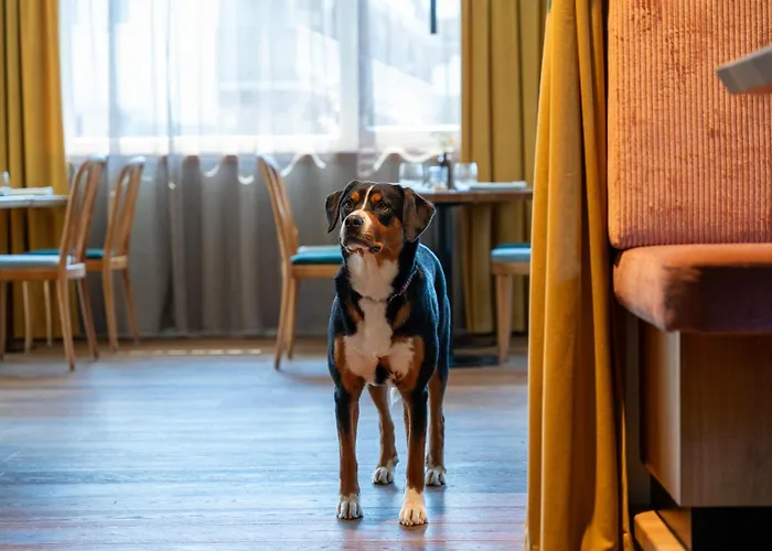 Boutiquehotel Zomm In Seefeld 4*